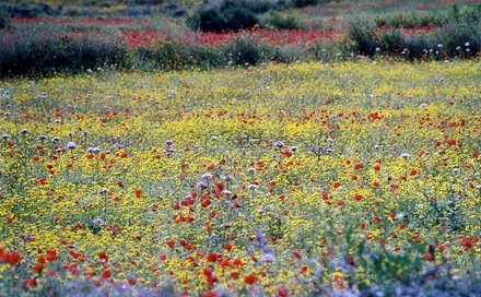 Témoignages de Bernard Keating, d'Anne Fortin, d'Alain Faucher, des Ursulines lors du décès de monsieur l'abbé Henri Beaumont, professeur à l'Université Laval et prêtre du Séminaire de Québec Témoignages de Bernard Keating, d'Anne Fortin, d'Alain Faucher, des Ursulines lors du décès de monsieur l'abbé Henri Beaumont, professeur à l'Université Laval et prêtre du Séminaire de Québec