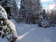 Regard en avant : l'hiver prépare l'été... Regard en avant : l'hiver prépare l'été...